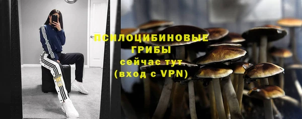 хмурый Нефтегорск