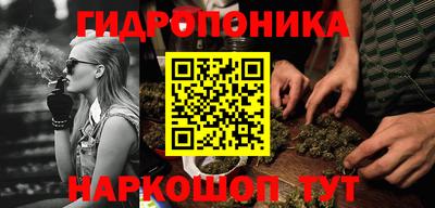 трава Усть-Джегута