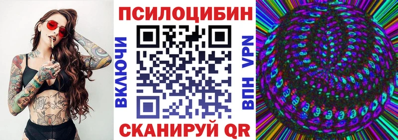 Псилоцибиновые грибы Psilocybe  Приморско-Ахтарск 