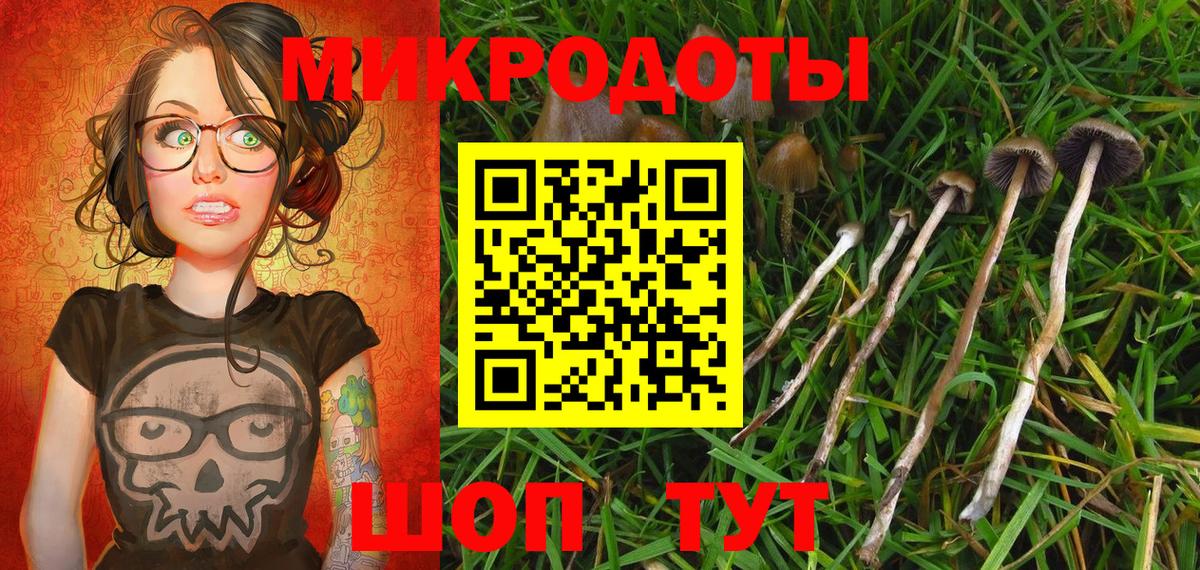 Псилоцибиновые грибы мухоморы  Вход с VPN  закладки  Галлюциногенные грибы GOLDEN TEACHER  Приморско-Ахтарск 